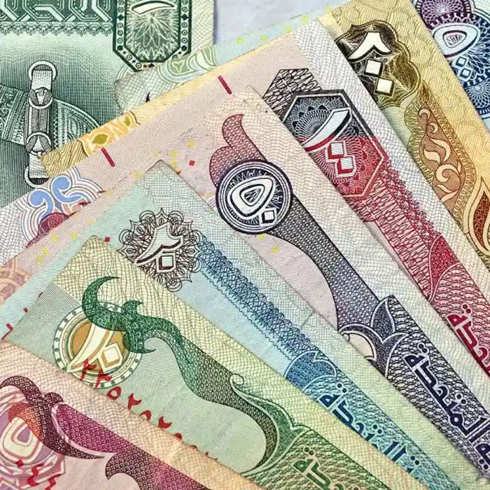 Dirham currency notes