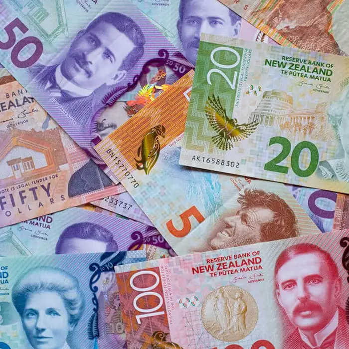 New Zealand Dollars currency notes