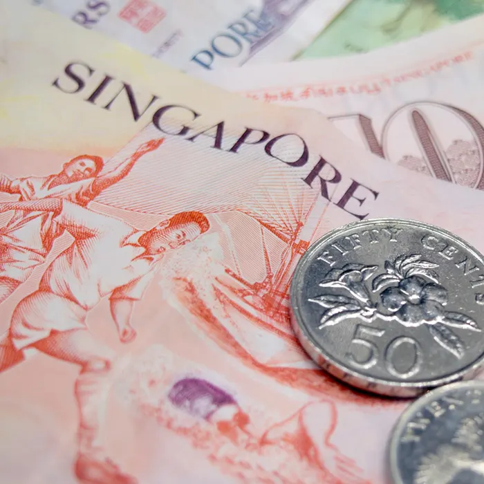 Singapore Dollar currency notes