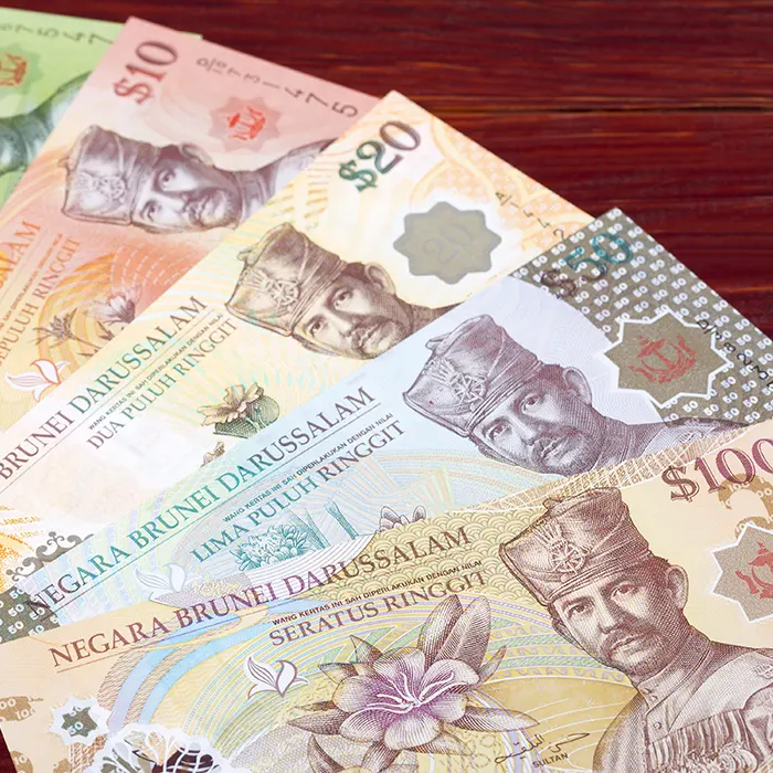 closeup view of Brunei Dollar foreign currency note